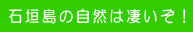 �Ί_���̎��R�͐������I